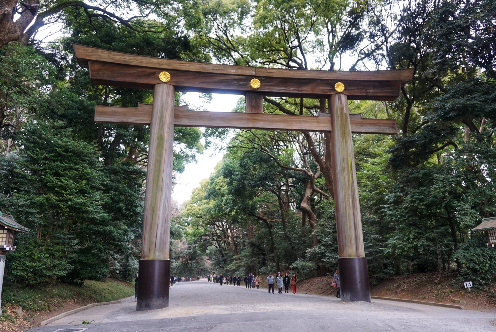 The Torii Gate at the Entrance