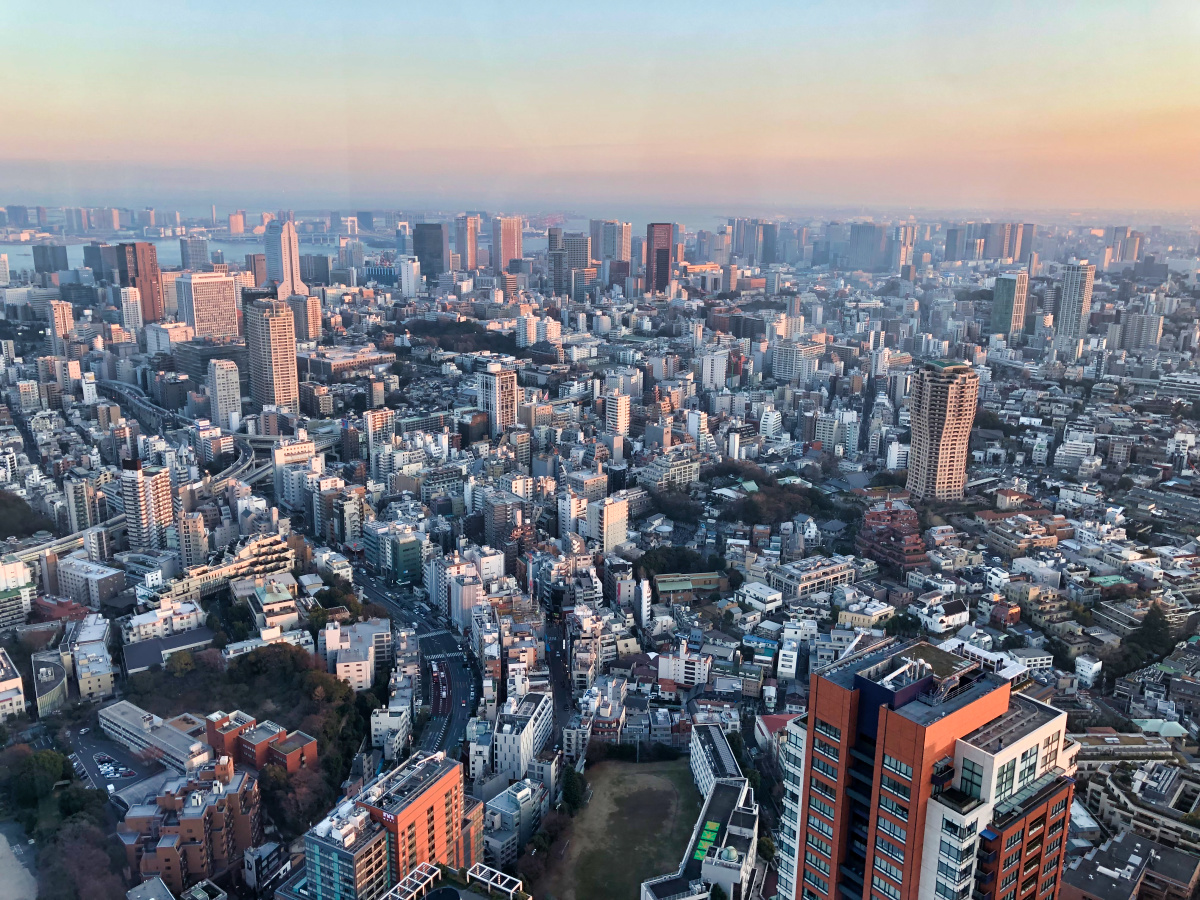 Tokyo's concrete jungle
