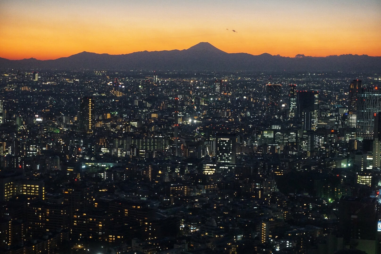 Tokyo City View and Mt Fuji